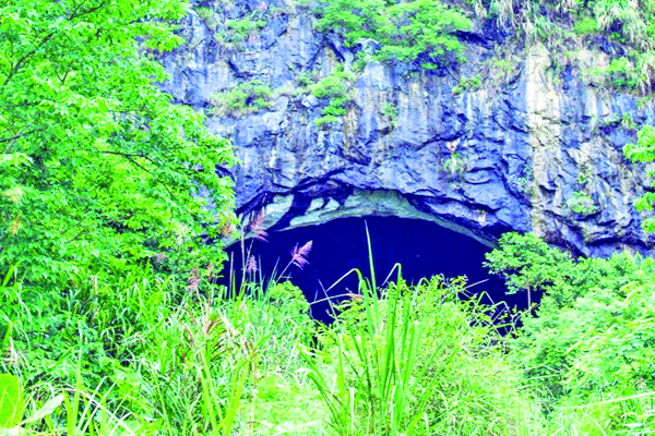 নতুন ভাইরাসের খোঁজে বাদুড়ের গুহায়