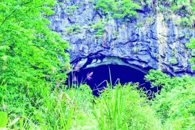 নতুন ভাইরাসের খোঁজে বাদুড়ের গুহায়