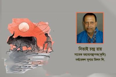 ধান সংগ্রহের বিকল্প প্রস্তাব ও টেকসই খাদ্য নিরাপত্তা