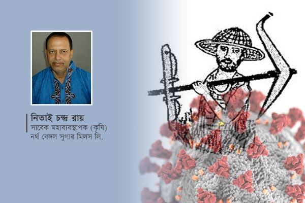 করোনা ও কৃষি: প্রয়োজন বাস্তবভিত্তিক বাজেট