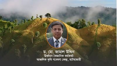 পাহাড়ে জুম চাষের উৎপাদনশীলতা বৃদ্ধির উপায়