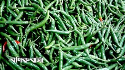 হিলিতে কমতে শুরু করেছে কাঁচা মরিচের দাম