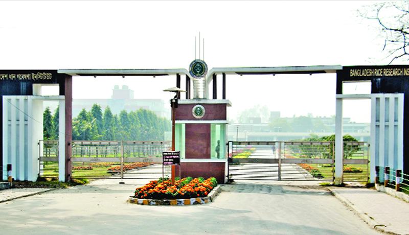 কালজয়ী প্রতিষ্ঠান ব্রির সুবর্ণজয়ন্তী আজ