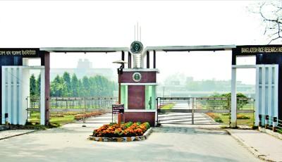 কালজয়ী প্রতিষ্ঠান ব্রির সুবর্ণজয়ন্তী আজ