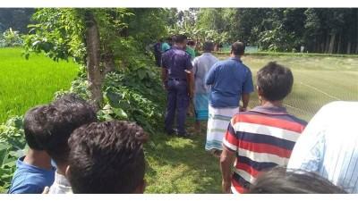 নরসিংদীতে গাছে ঝুলন্ত যুবকের মৃতদেহ উদ্ধার