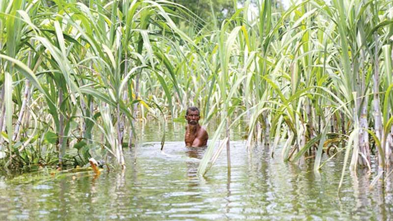 মহামারীর সঙ্গে প্রাকৃতিক দুর্যোগের দ্বৈত প্রভাব