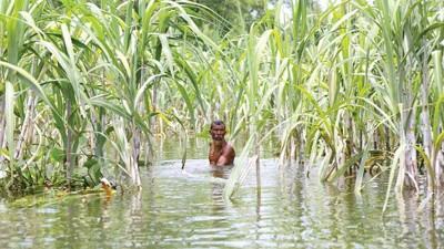 মহামারীর সঙ্গে প্রাকৃতিক দুর্যোগের দ্বৈত প্রভাব