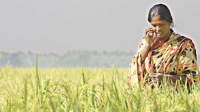 সেলফোন প্রত্যন্ত অঞ্চলে পরিবারের আয় বাড়াচ্ছে ১০%