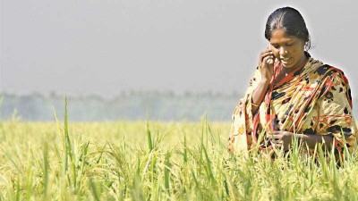 সেলফোন প্রত্যন্ত অঞ্চলে পরিবারের আয় বাড়াচ্ছে ১০%