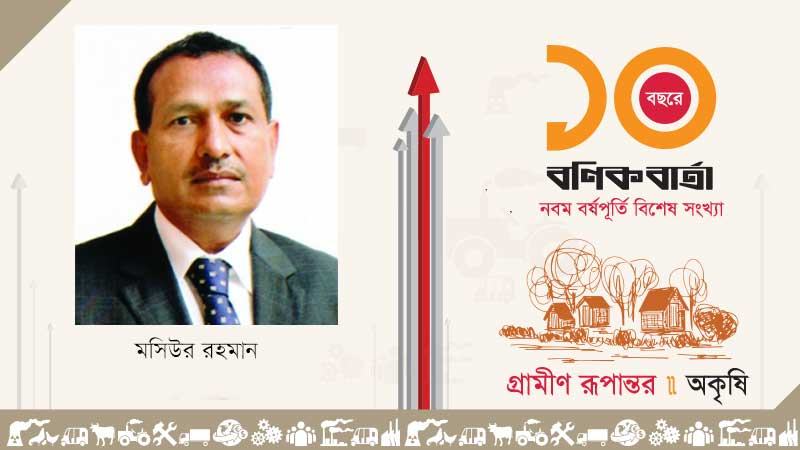 পোলট্রি: লাইভ ইন্ডাস্ট্রির উত্থান