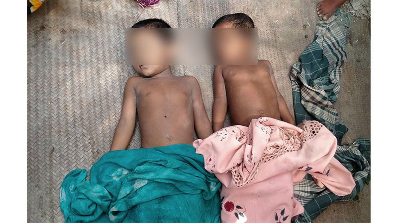 টাঙ্গাইলে পানিতে ডুবে একই পরিবারের দুই শিশুর মৃত্যু