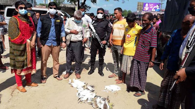 হবিগঞ্জে অতিথি পাখি শিকার, আটক ৪