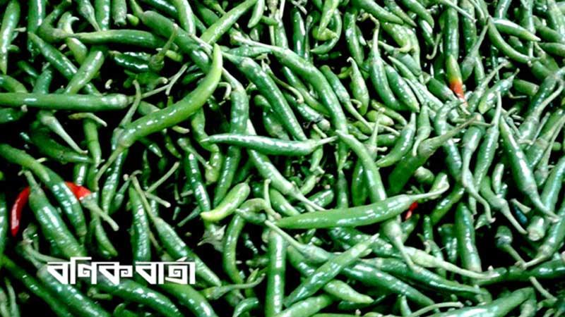 কাঁচামরিচ আমদানি বৃদ্ধির সঙ্গে কমে আসছে দামও