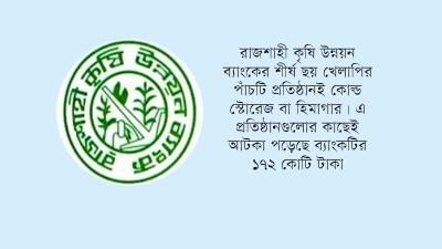 কোল্ড স্টোরেজে বিনিয়োগ বিপদ বাড়িয়েছে রাকাবের