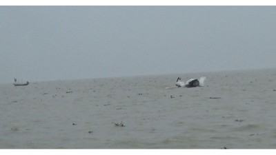 মেঘনায় ট্রলারের ধাক্কায় জেলে নিহত