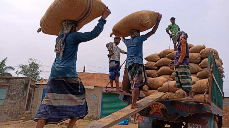 বরাদ্দ বাতিল ৩২৩ জামানত বাজেয়াপ্ত ২৪৮ মিলারের