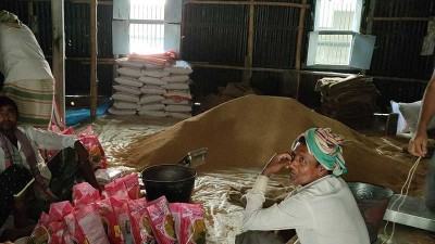 সিংড়ায় ভেজাল বীজ তৈরির কারখানা পরিদর্শনে তদন্ত কমিটি