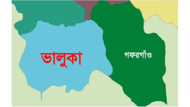 ভালুকায় সড়ক দুর্ঘটনায় দুই সহোদর নিহত