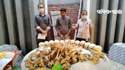 ময়মনসিংহে ১২টি মাথার খুলি ও দুই বস্তা হাড়সহ আটক ১