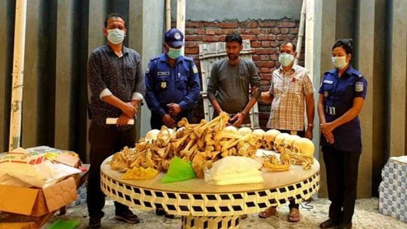 ময়মনসিংহে মানুষের ১২টি খুলিসহ যুবক আটক