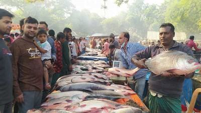 বগুড়ায় একদিনের মেলায় কোটি টাকার মাছ বিক্রি