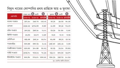কভিডে বিদ্যুৎ খাতের ব্যবসায়ও মন্থর গতি