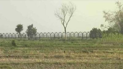 কুড়িগ্রাম সীমান্তে বিএসএফের গুলিতে এক বাংলাদেশী নিহত