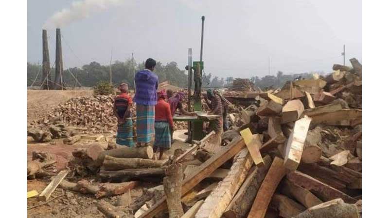 কুষ্টিয়ায় অবৈধ ইটভাটায় কাঠ পোড়াতে ভ্রাম্যমাণ স’ মিল!