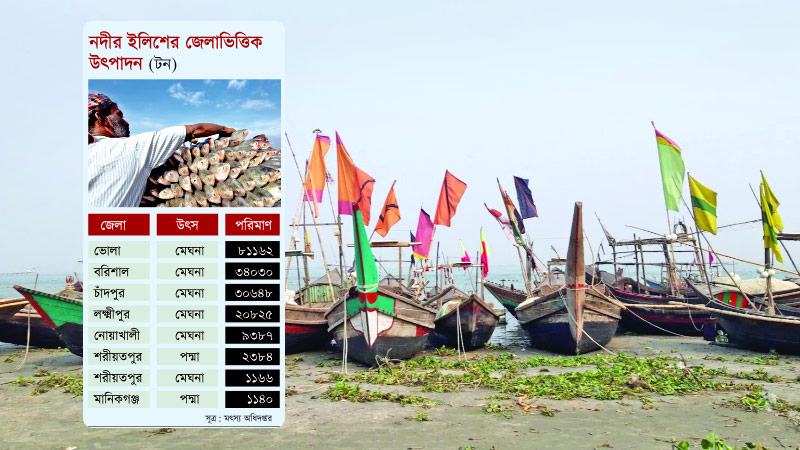 ইলিশে শ্রেষ্ঠী ভোলা