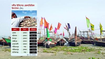 ইলিশে শ্রেষ্ঠী ভোলা