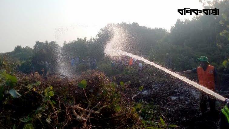 সুন্দরবনে আগুনের কারণ জানতে তদন্ত কমিটি