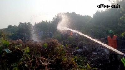 সুন্দরবনে আগুনের কারণ জানতে তদন্ত কমিটি