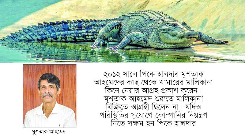 মুশতাকের কুমির খামারের মালিক এখন পলাতক পিকে হালদার