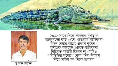 মুশতাকের কুমির খামারের মালিক এখন পলাতক পিকে হালদার