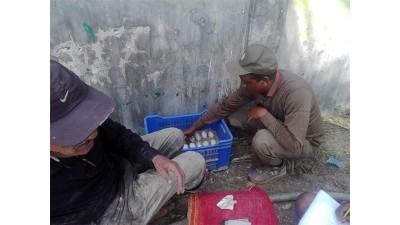 করমজলে আবার ডিম দিয়েছে বাটাগুর বাসকা