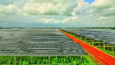 কয়লা পশ্চাতে, সোলারের রোডম্যাপ তৈরি করছে সরকার