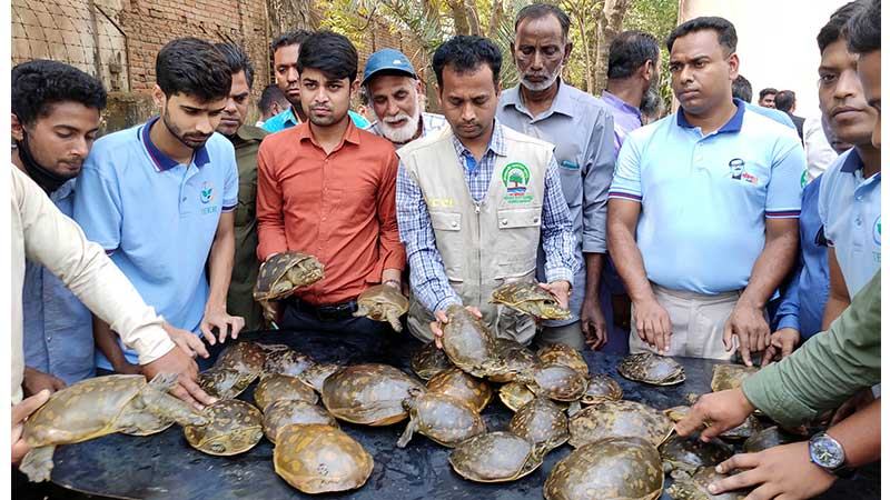 বগুড়ায় ৩৫টি সুন্ধিজাতের কাছিম উদ্ধার
