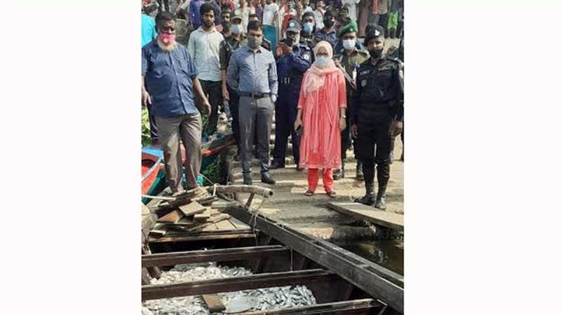 নারায়ণগঞ্জে ১০ মণ জাটকা জব্দ