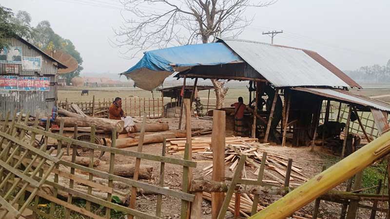 শেরপুরে বনাঞ্চলের সীমানায় ৮৫ করাতকল