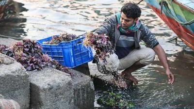 বুড়িগঙ্গার পানিতে তাজা হয় শ্যামবাজারের সবজি