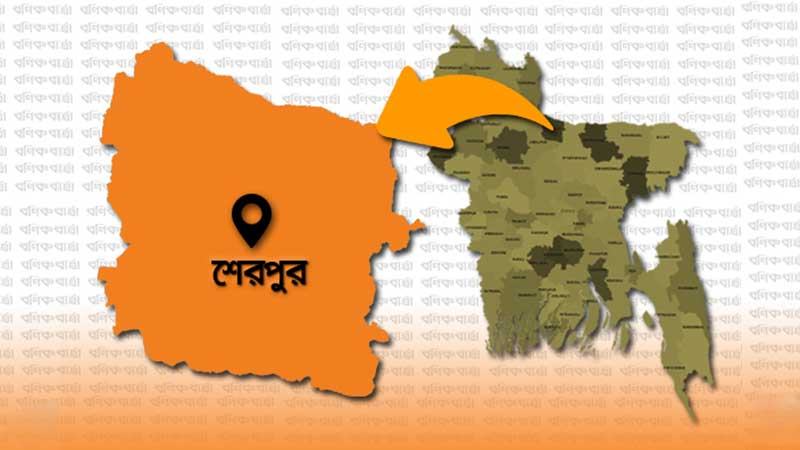 শেরপুরে মাটিচাপায় নির্মাণ শ্রমিকের মৃত্যু