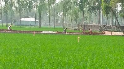 রংপুরে ১০ বছরে কৃষিজমি কমেছে ৬ হাজার ৬৩১ হেক্টর