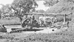 ফসলি সনের প্রবর্তন