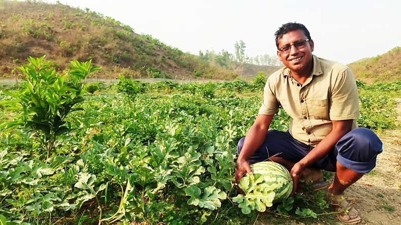 গারো পাহাড়ে তরমুজ চাষে সাফল্য