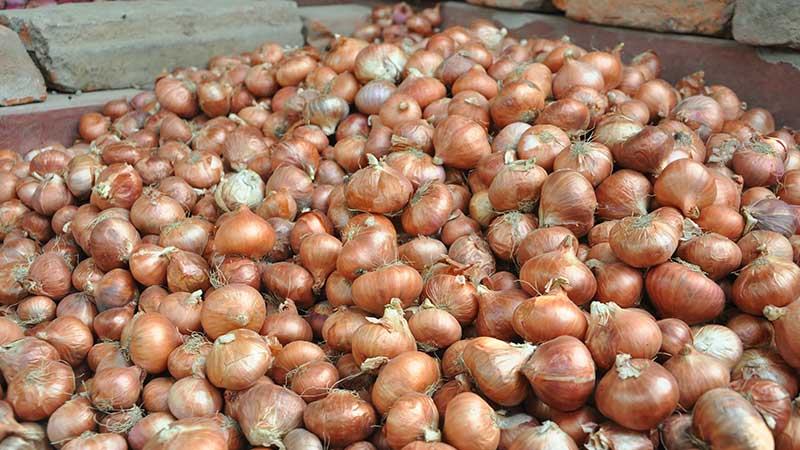 আমদানি বাড়ায় পেঁয়াজের দাম কমেছে হিলিতে