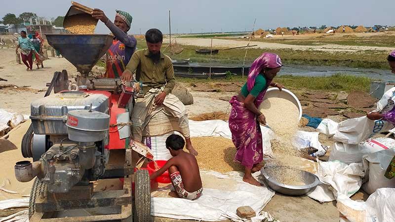 নেত্রকোনায় বোরো ধানের ন্যায্য দামে খুশি কৃষক
