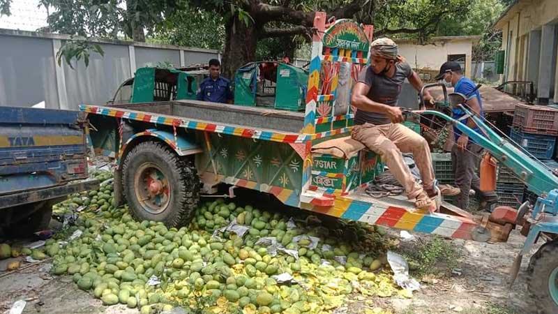 চাঁপাইনবাবগঞ্জে নষ্ট করা হলো কেমিক্যালে পাকানো ২৮ মণ আম