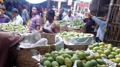 আমের দরপতনে সাতক্ষীরায় লোকসানে চাষী ও ব্যবসায়ীরা