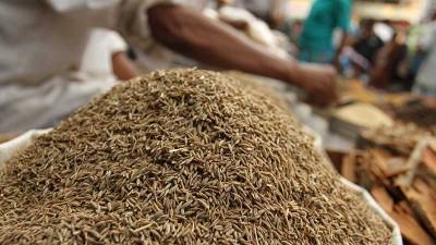 ১০ মাসে ২৩ কোটি টাকার জিরা আমদানি