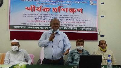 রাজবাড়ীতে তিল চাষ ও জাত পরিচিতি
